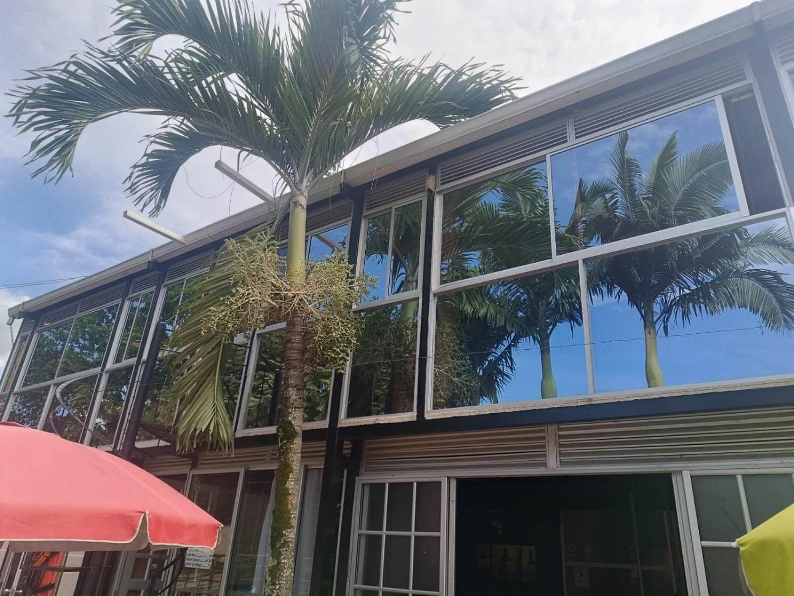 Akuarela Apartamentos Campestres Ibagué Dış mekan fotoğraf